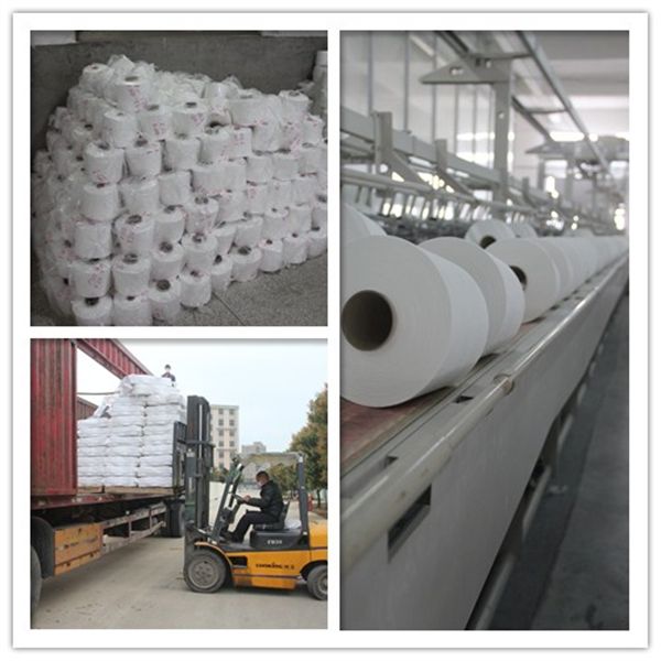 Ne 30/1 Virgin Polyester Spun Yarn